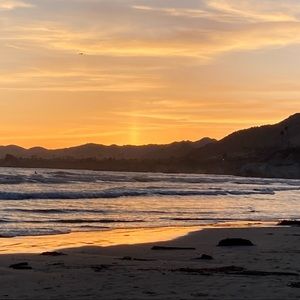 Meet your Posher, Trinity